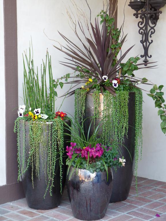 Elegant Nest Outdoor Potted Plants...